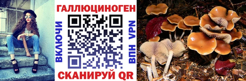 Галлюциногенные грибы ЛСД Реутов