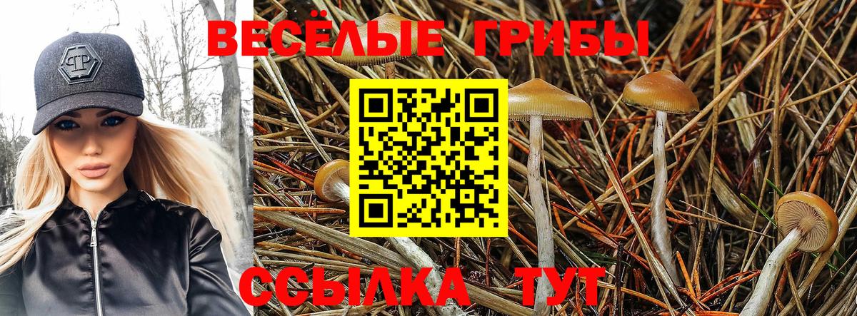 Галлюциногенные грибы ЛСД Реутов