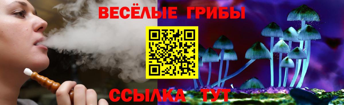что такое наркотик  Реутов  Галлюциногенные грибы Psilocybe  Галлюциногенные грибы GOLDEN TEACHER 